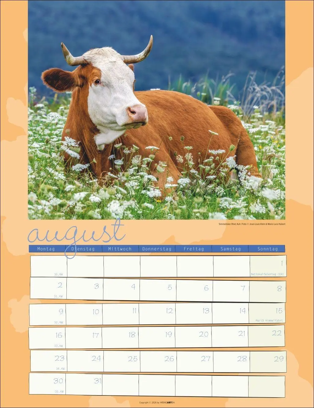 Bild: 9783839903902 | Kuh Kalender 2027 | Marie-Luce Hubert | Kalender | Spiralbindung
