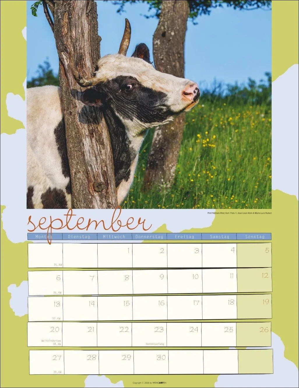 Bild: 9783839903902 | Kuh Kalender 2027 | Marie-Luce Hubert | Kalender | Spiralbindung