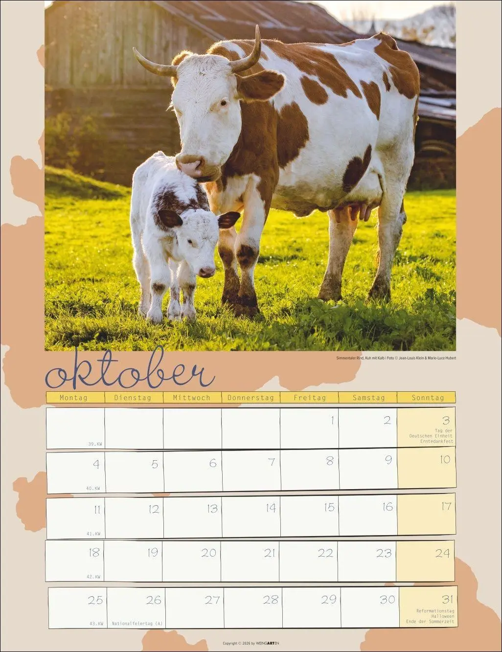 Bild: 9783839903902 | Kuh Kalender 2027 | Marie-Luce Hubert | Kalender | Spiralbindung