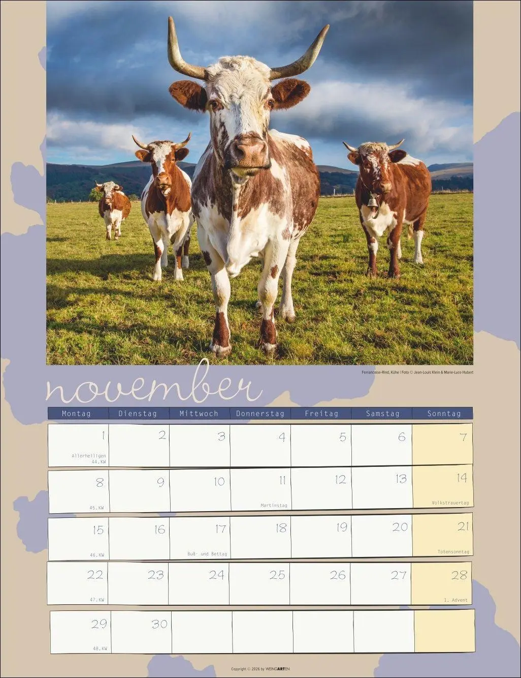 Bild: 9783839903902 | Kuh Kalender 2027 | Marie-Luce Hubert | Kalender | Spiralbindung