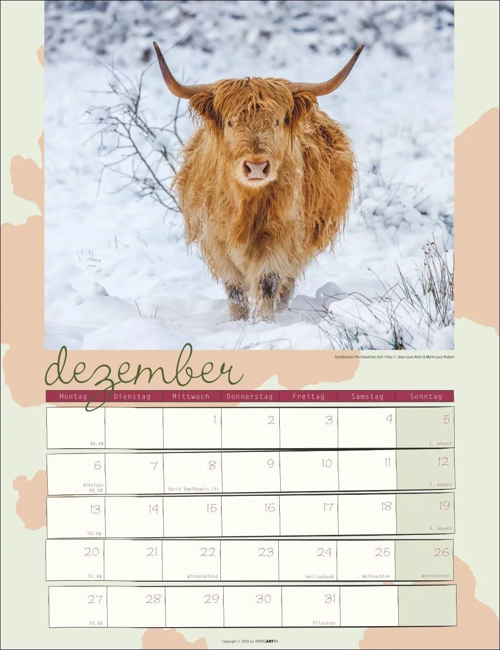 Bild: 9783839903902 | Kuh Kalender 2027 | Marie-Luce Hubert | Kalender | Spiralbindung