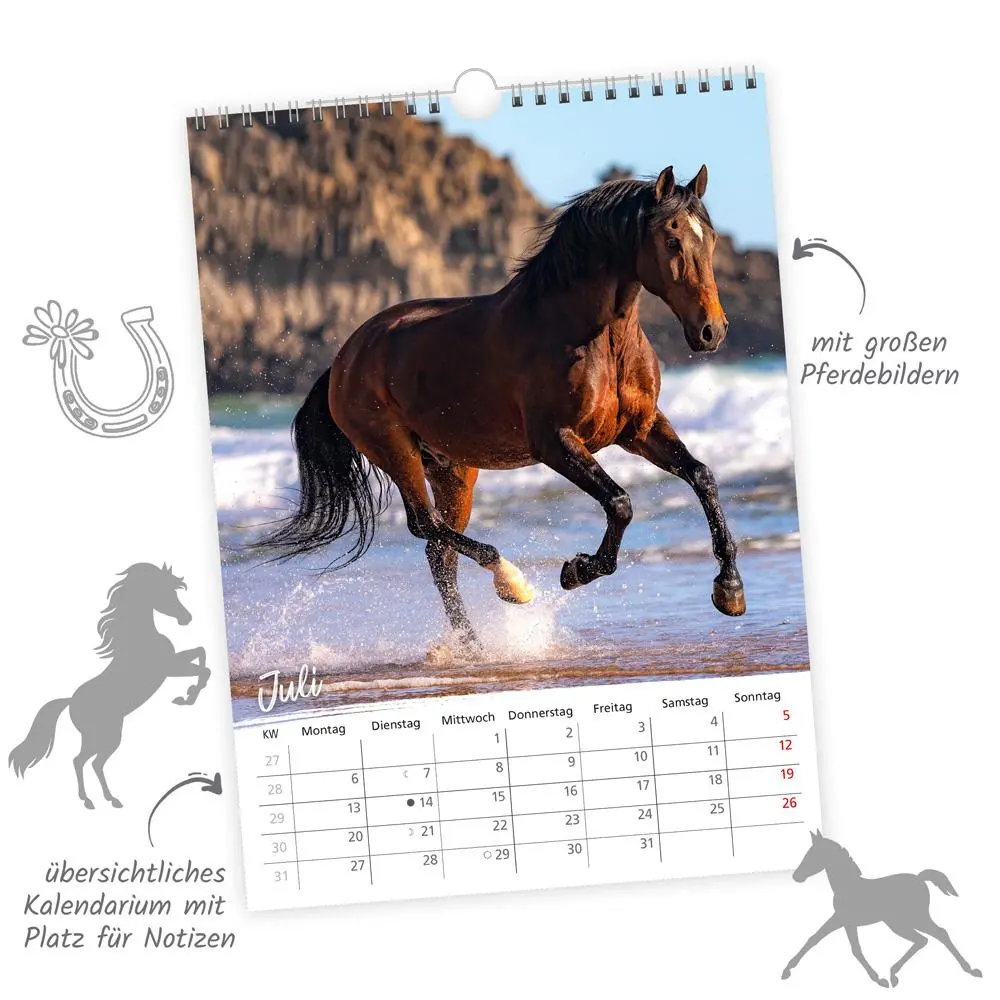 Bild: 9783988023902 | Trötsch Classickalender Pferde 2026 | Wandkalender | KG | Kalender