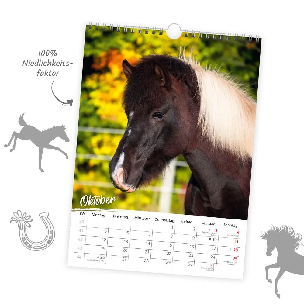 Bild: 9783988023902 | Trötsch Classickalender Pferde 2026 | Wandkalender | KG | Kalender