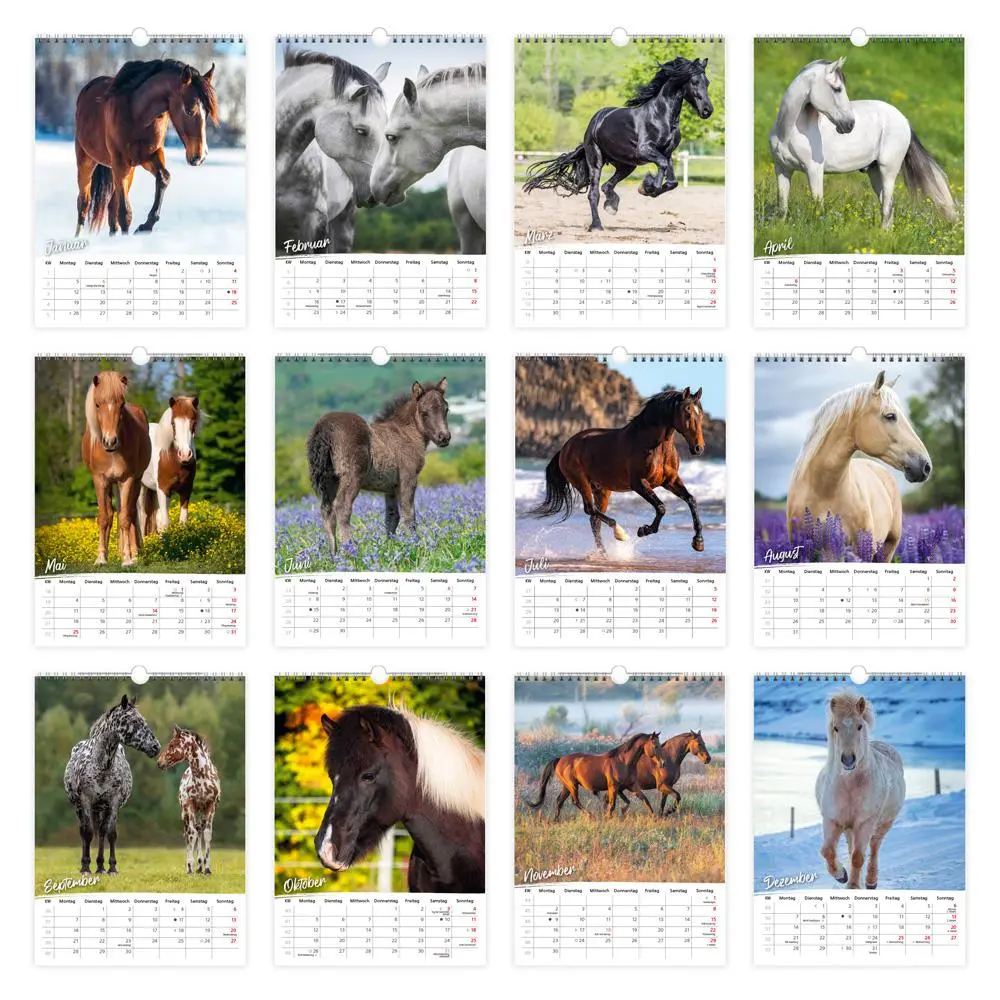 Bild: 9783988023902 | Trötsch Classickalender Pferde 2026 | Wandkalender | KG | Kalender
