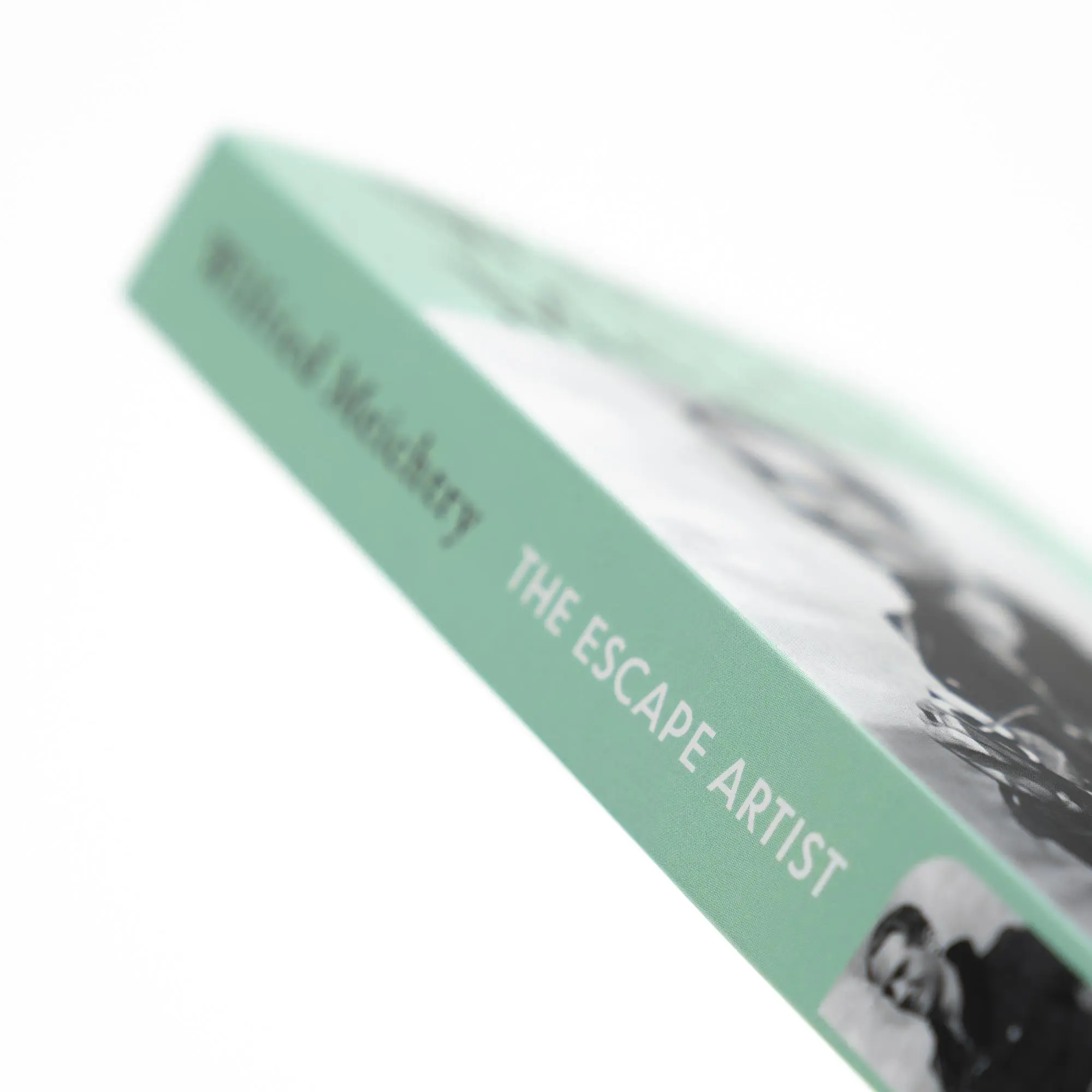Bild: 9783312014002 | The Escape Artist | Wilfried Meichtry | Taschenbuch | 320 S. | Deutsch