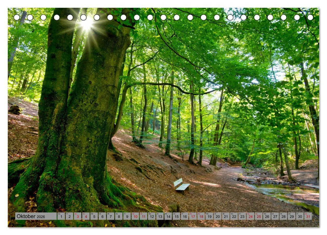Bild: 9783457344002 | Streifzug durch Ostwestfalen (Tischkalender 2026 DIN A5 quer),...