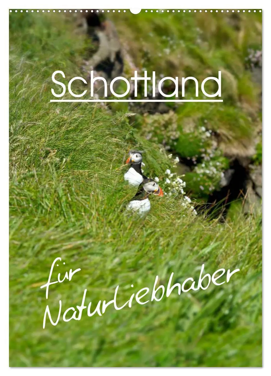 Cover: 9783516434002 | Schottland für Naturliebhaber (Wandkalender 2026 DIN A2 hoch),...