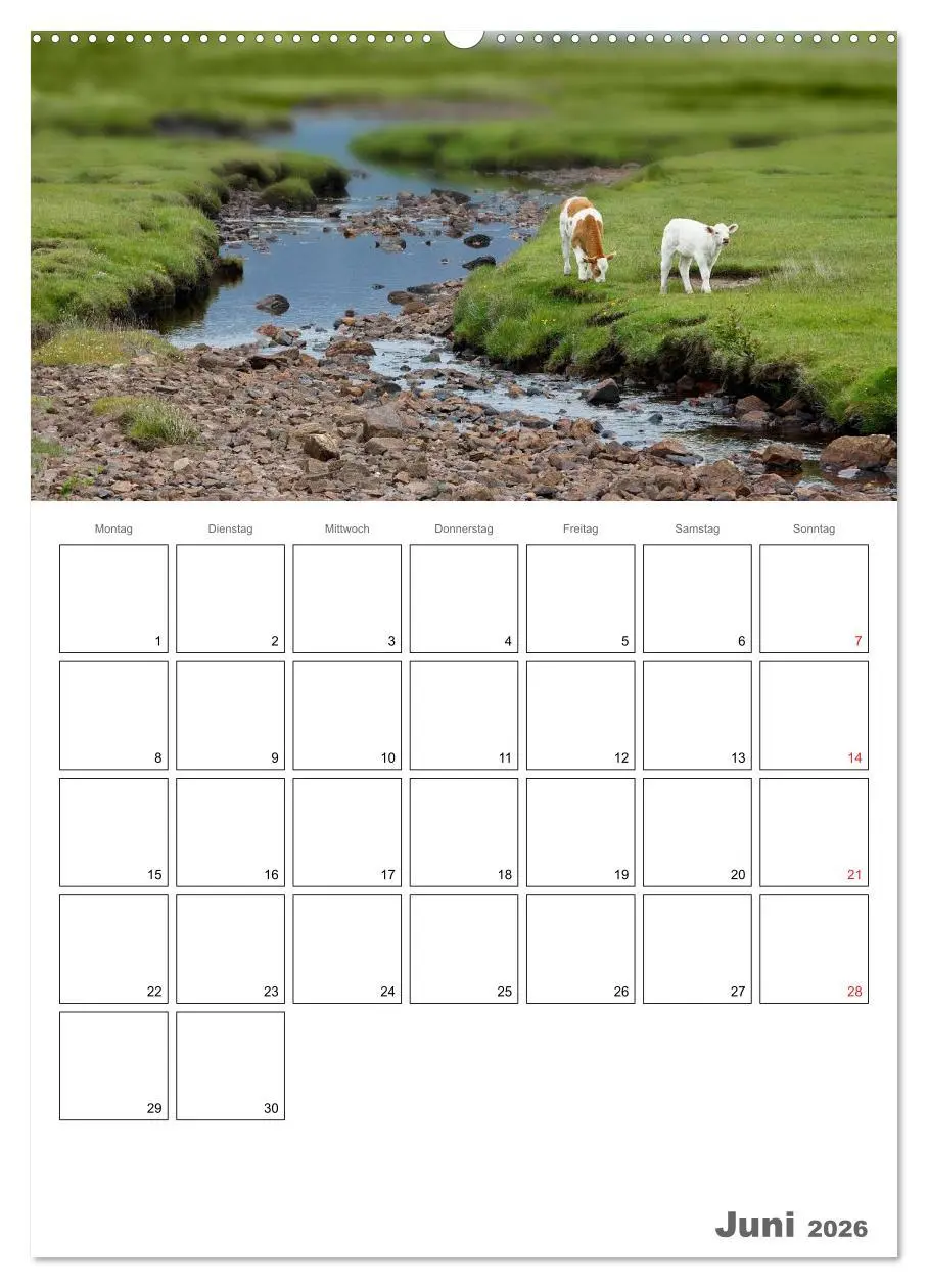 Bild: 9783516434002 | Schottland für Naturliebhaber (Wandkalender 2026 DIN A2 hoch),...