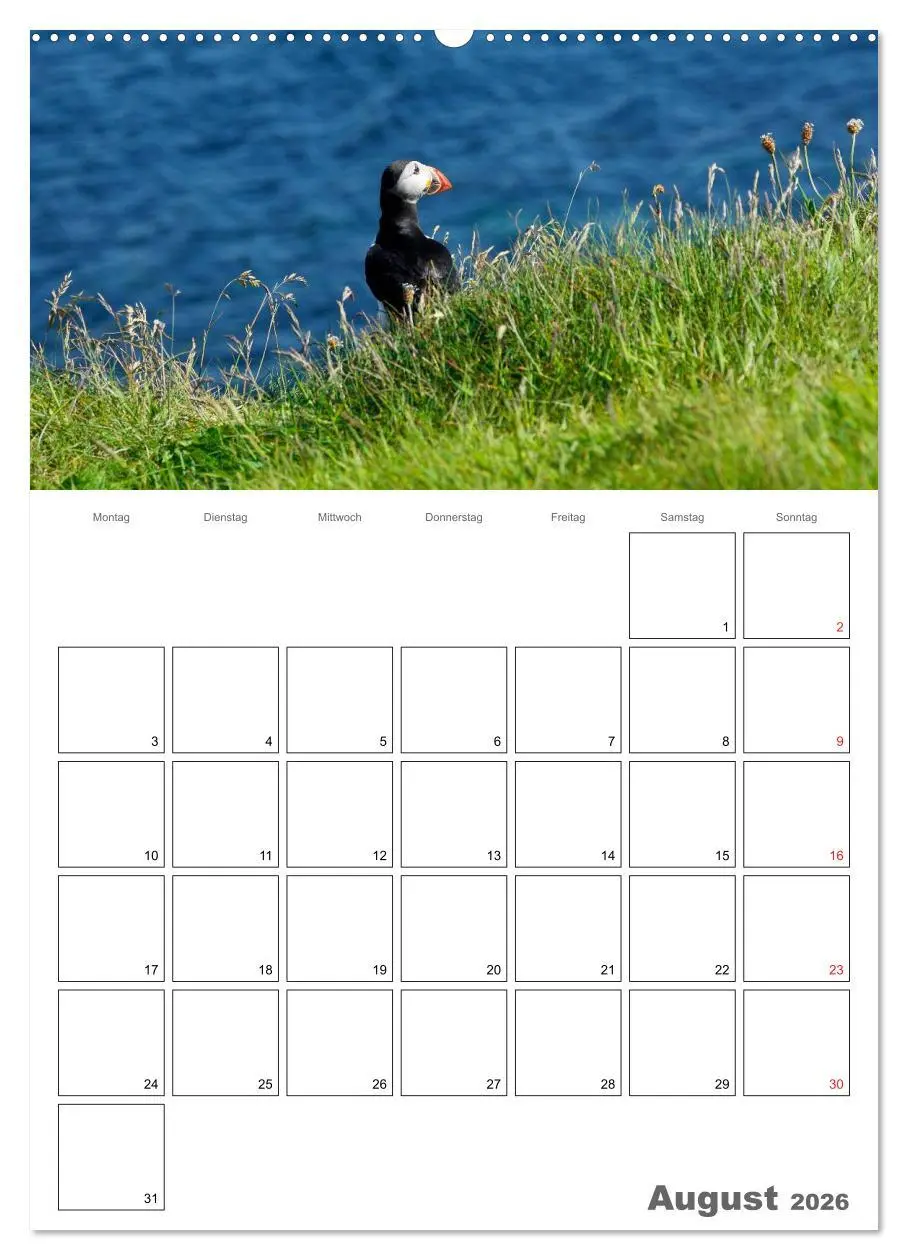 Bild: 9783516434002 | Schottland für Naturliebhaber (Wandkalender 2026 DIN A2 hoch),...