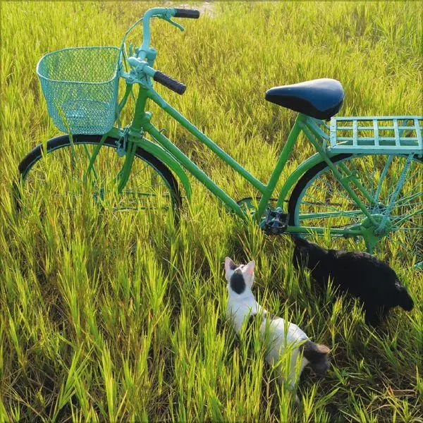 Bild: 9783819304002 | Bike Love 2027 | Verlag Korsch | Kalender | 13 S. | Deutsch | 2027