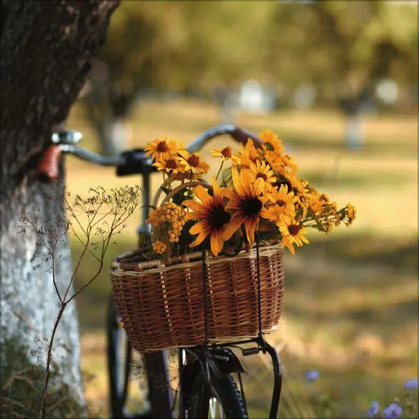 Bild: 9783819304002 | Bike Love 2027 | Verlag Korsch | Kalender | 13 S. | Deutsch | 2027