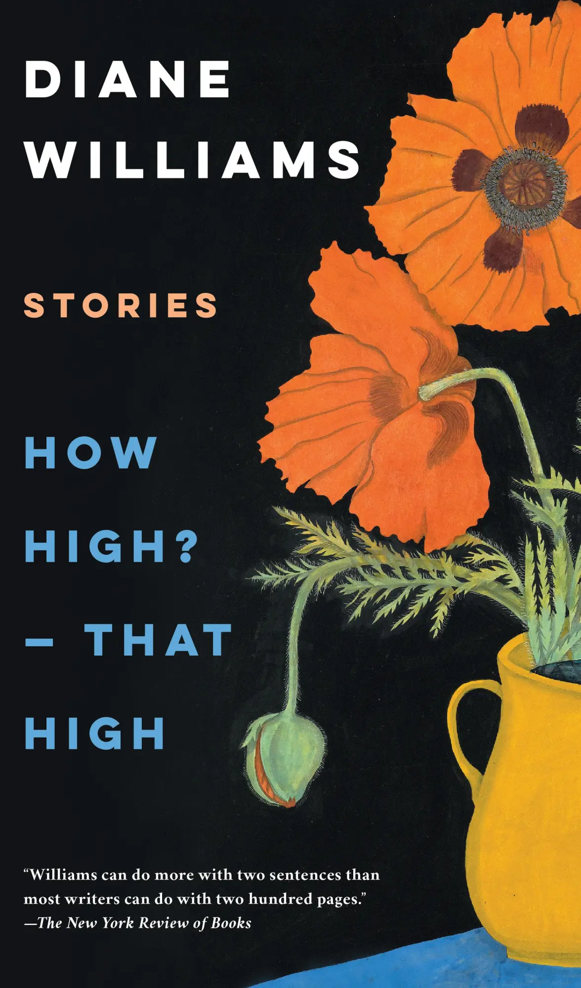 Cover: 9781641294102 | How High? -- That High | Diane Williams | Taschenbuch | Englisch