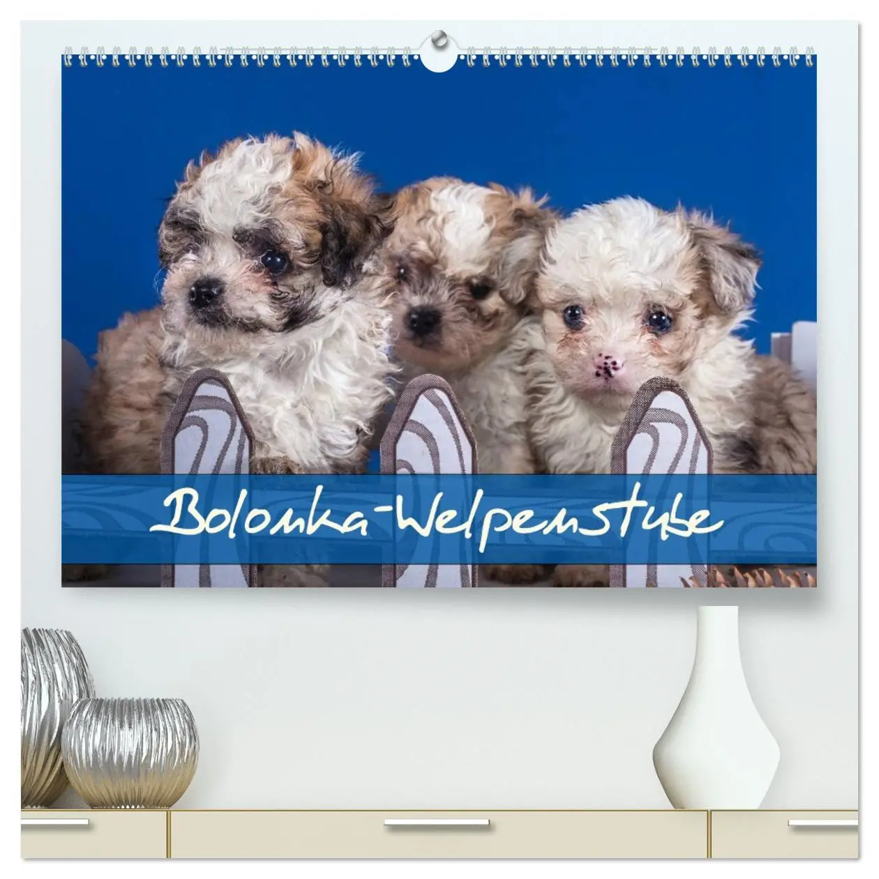 Cover: 9783516114102 | Bolonka Welpenstube (hochwertiger Premium Wandkalender 2026 DIN A2...