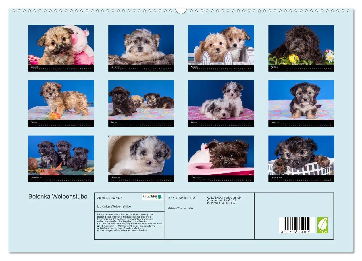 Bild: 9783516114102 | Bolonka Welpenstube (hochwertiger Premium Wandkalender 2026 DIN A2...