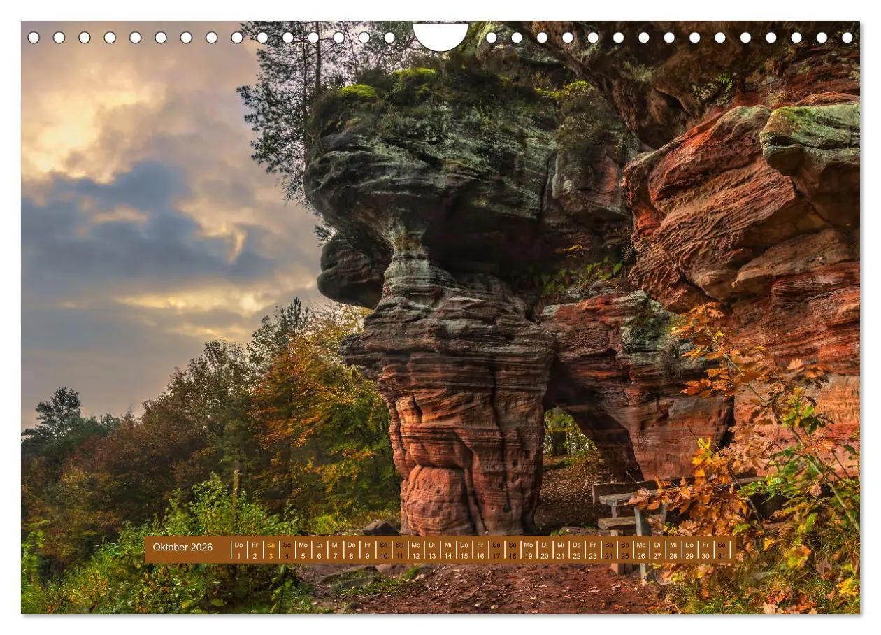 Bild: 9783457564202 | Magischer Pfälzer Wald (Wandkalender 2026 DIN A4 quer), CALVENDO...