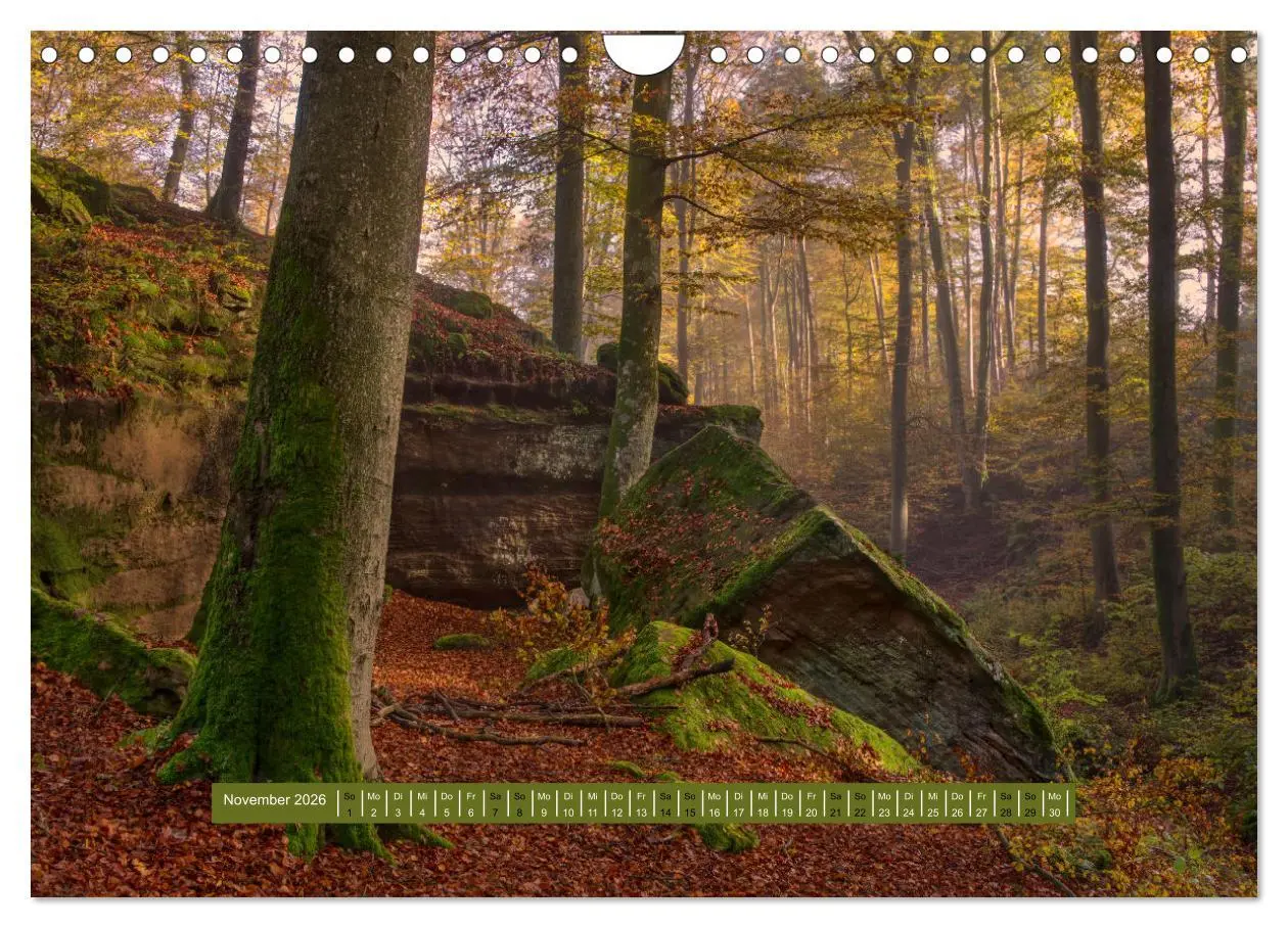 Bild: 9783457564202 | Magischer Pfälzer Wald (Wandkalender 2026 DIN A4 quer), CALVENDO...