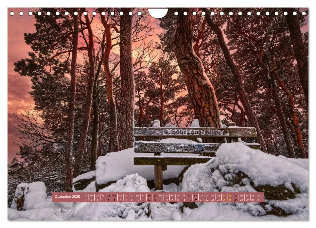 Bild: 9783457564202 | Magischer Pfälzer Wald (Wandkalender 2026 DIN A4 quer), CALVENDO...