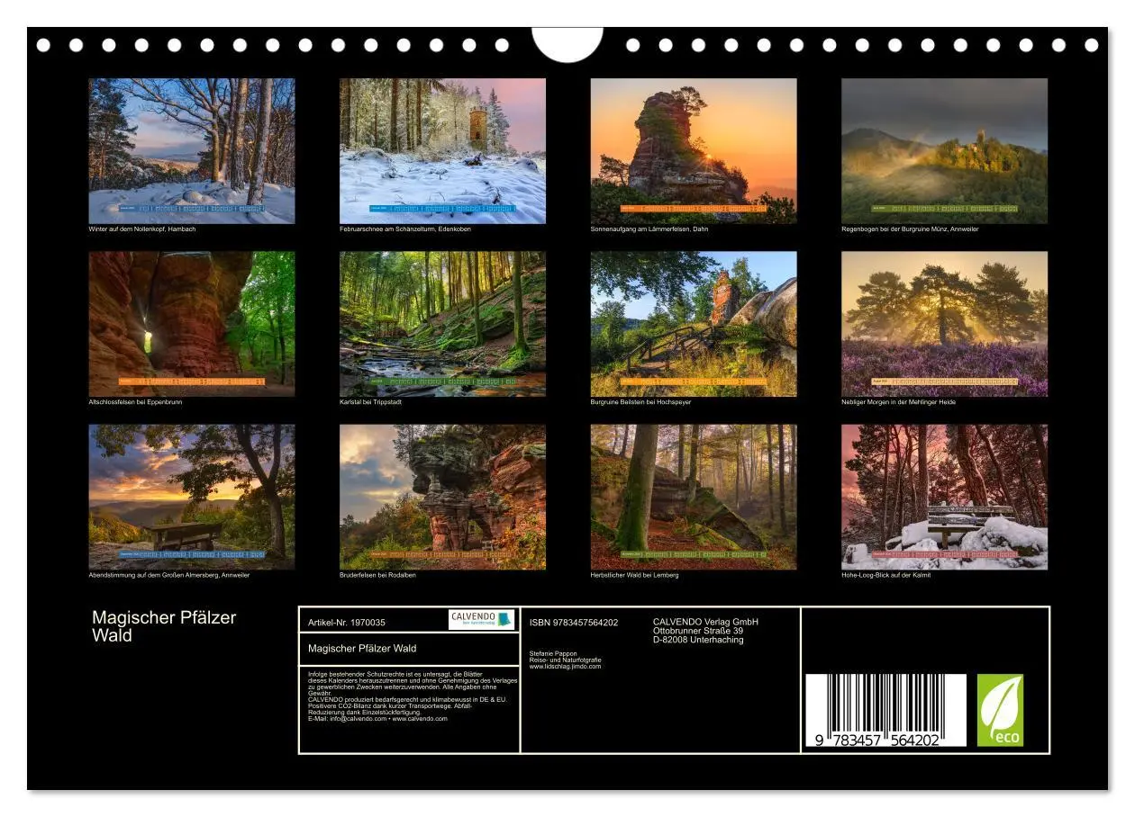 Bild: 9783457564202 | Magischer Pfälzer Wald (Wandkalender 2026 DIN A4 quer), CALVENDO...