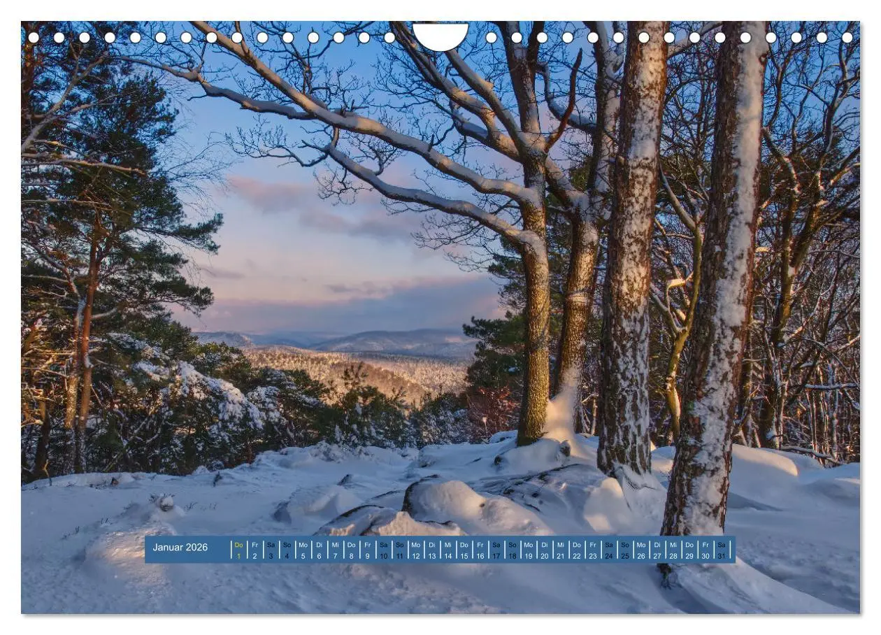 Bild: 9783457564202 | Magischer Pfälzer Wald (Wandkalender 2026 DIN A4 quer), CALVENDO...