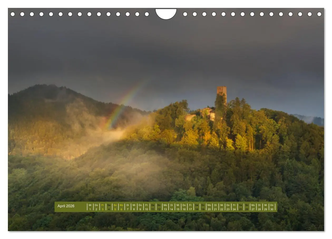 Bild: 9783457564202 | Magischer Pfälzer Wald (Wandkalender 2026 DIN A4 quer), CALVENDO...