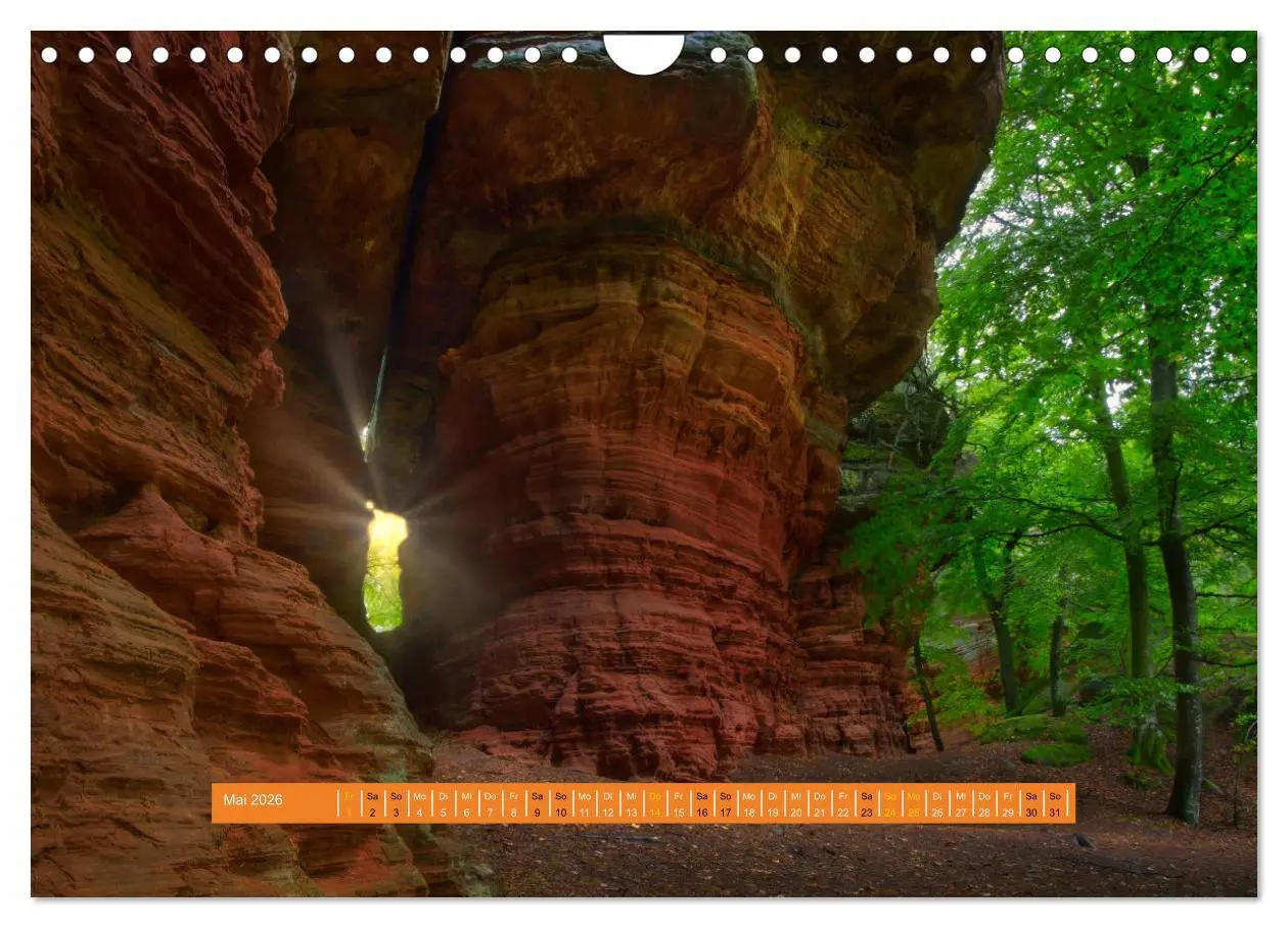 Bild: 9783457564202 | Magischer Pfälzer Wald (Wandkalender 2026 DIN A4 quer), CALVENDO...