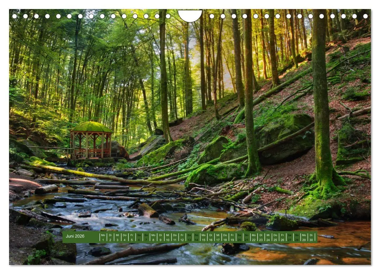 Bild: 9783457564202 | Magischer Pfälzer Wald (Wandkalender 2026 DIN A4 quer), CALVENDO...