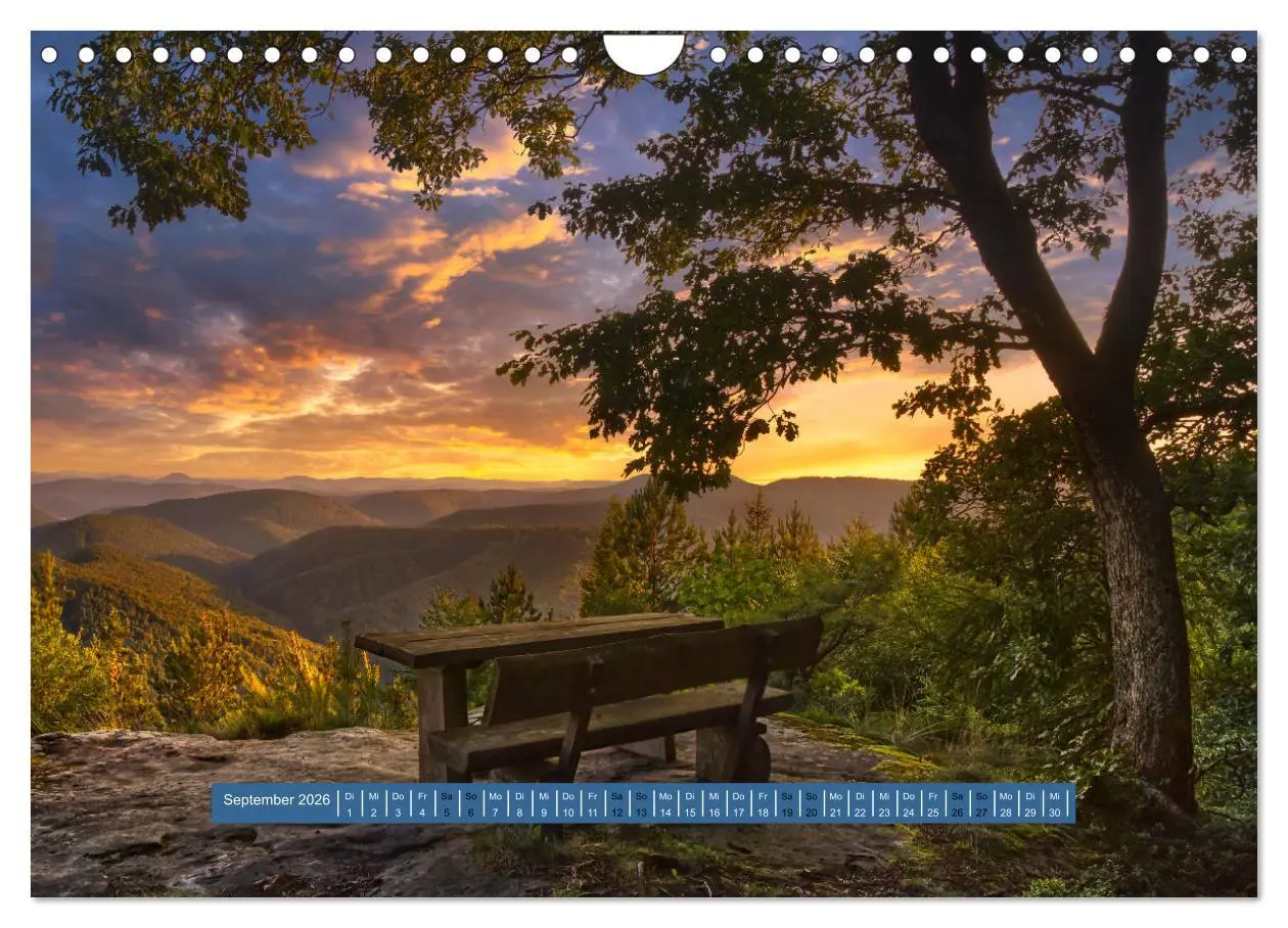 Bild: 9783457564202 | Magischer Pfälzer Wald (Wandkalender 2026 DIN A4 quer), CALVENDO...