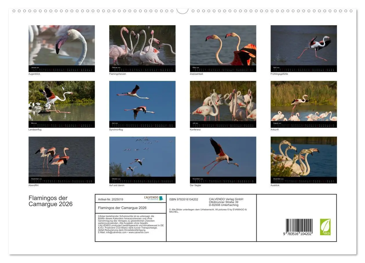 Bild: 9783516104202 | Flamingos der Camargue 2026 (hochwertiger Premium Wandkalender 2026...