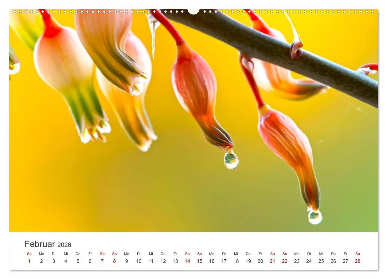 Bild: 9783457554302 | ZEN - Eine Reise zu sich selbst (Wandkalender 2026 DIN A2 quer),...