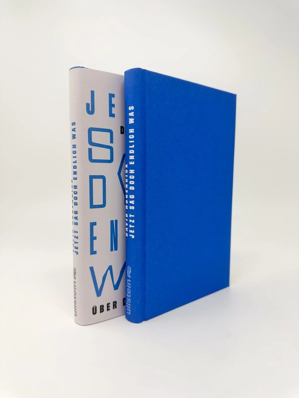 Bild: 9783550204302 | Jetzt sag doch endlich was | David Hugendick | Buch | 160 S. | Deutsch