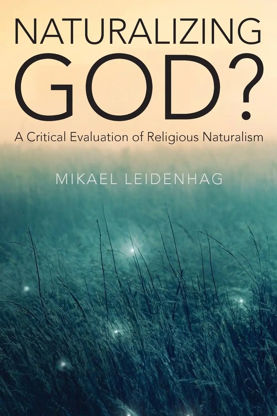 Cover: 9781438484402 | Naturalizing God? | A Critical Evaluation of Religious Naturalism