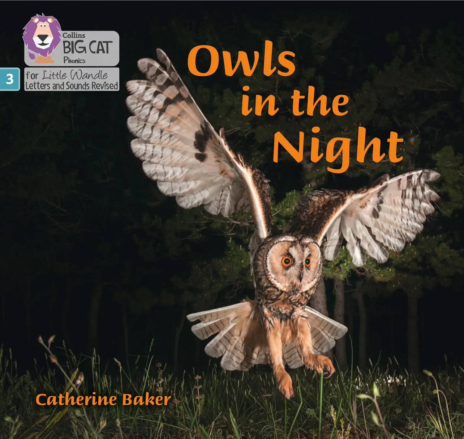 Cover: 9780008504502 | Owls in the Night | Phase 3 Set 2 | Catherine Baker | Taschenbuch