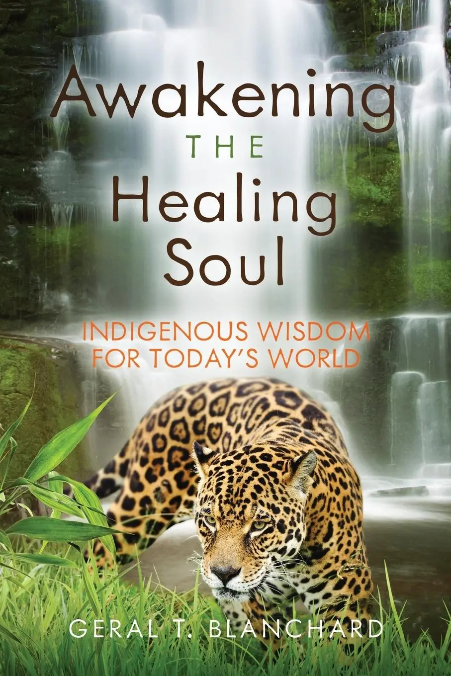 Cover: 9781734864502 | Awakening the Healing Soul | Indigenous Wisdom for Today's World