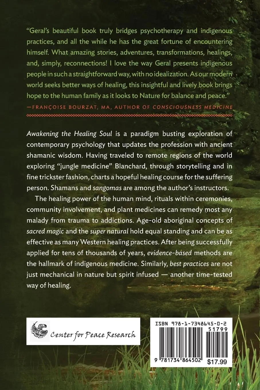 Rückseite: 9781734864502 | Awakening the Healing Soul | Indigenous Wisdom for Today's World
