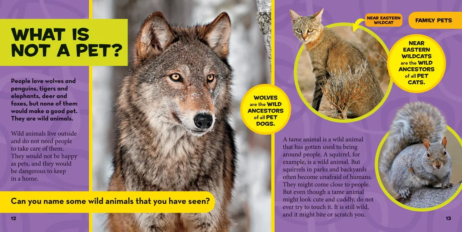Bild: 9781426334702 | National Geographic Little Kids First Big Book of Pets | Hughes | Buch