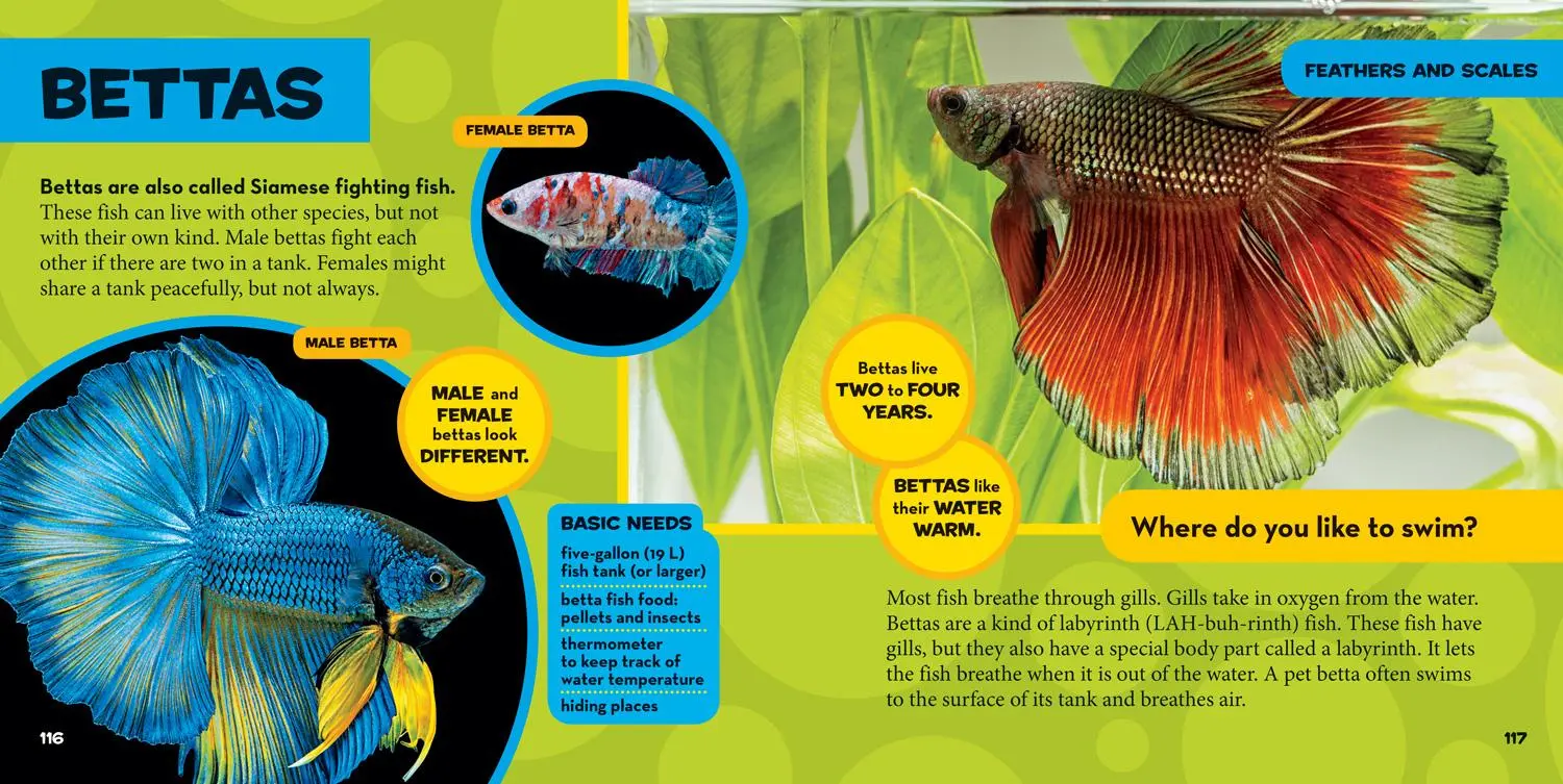 Bild: 9781426334702 | National Geographic Little Kids First Big Book of Pets | Hughes | Buch
