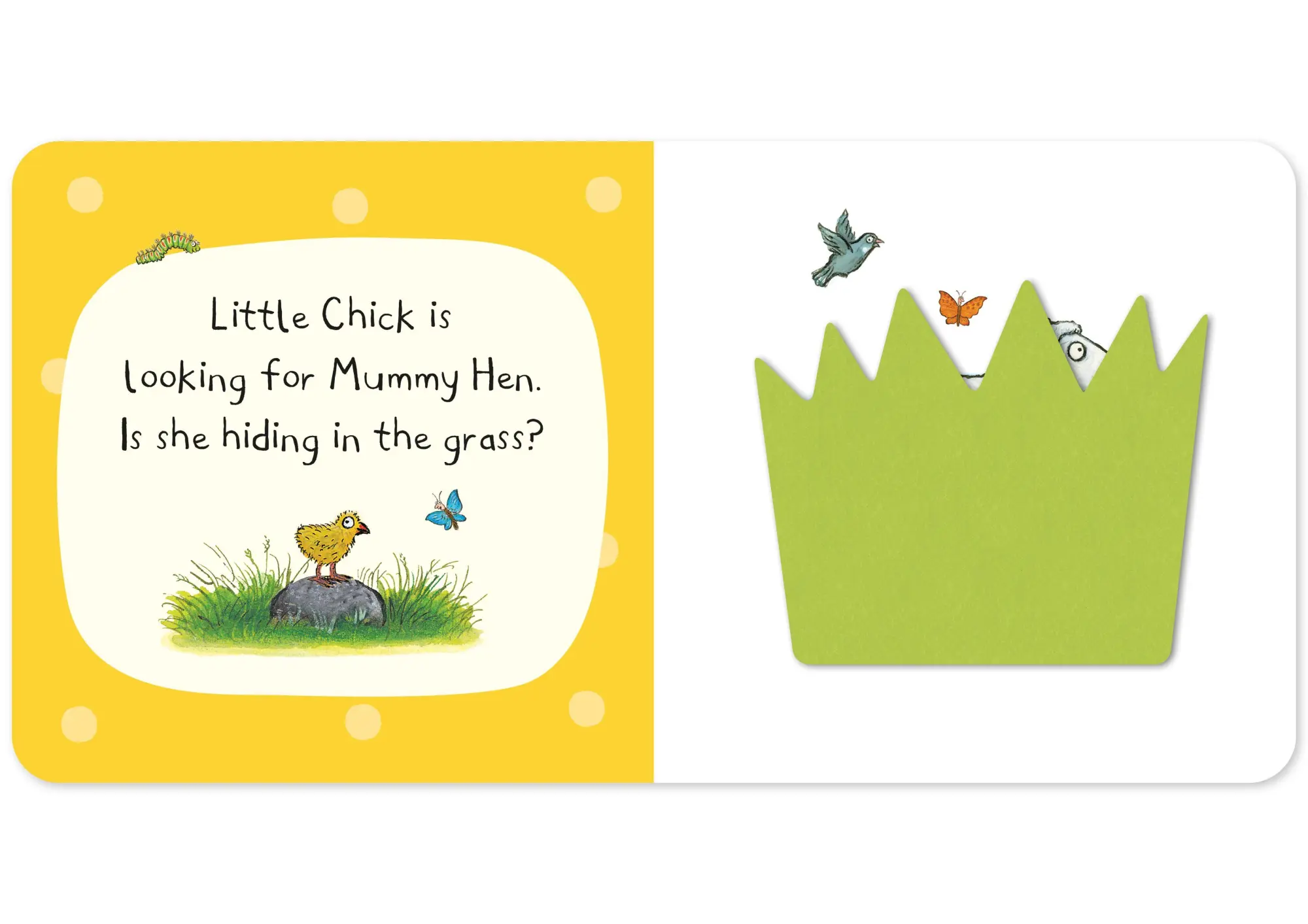 Bild: 9781529084702 | Who's Hiding On The Farm? | A Felt Flaps Book | Campbell Books | Buch