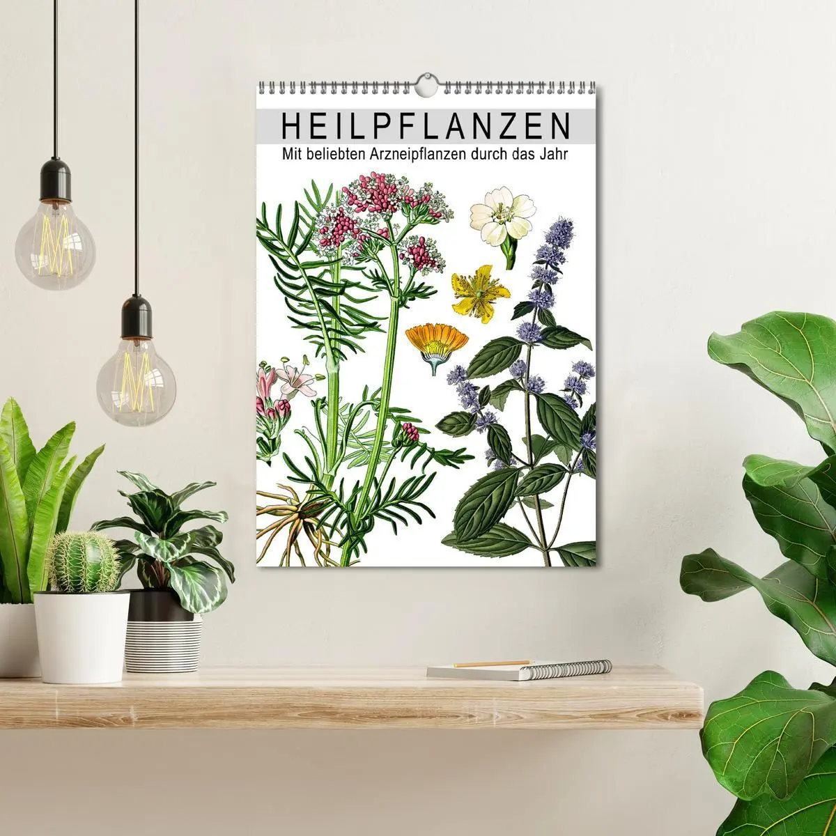 Bild: 9783516464702 | Heilpflanzen (Wandkalender 2026 DIN A3 hoch), CALVENDO Monatskalender