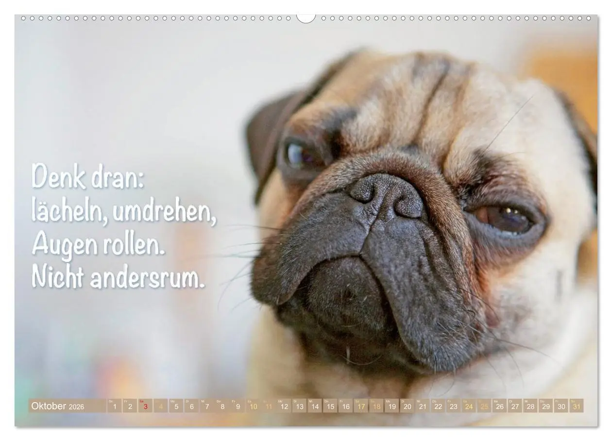 Bild: 9783516604702 | Mopsala: Vom Glück, ein Mops zu sein (hochwertiger Premium...