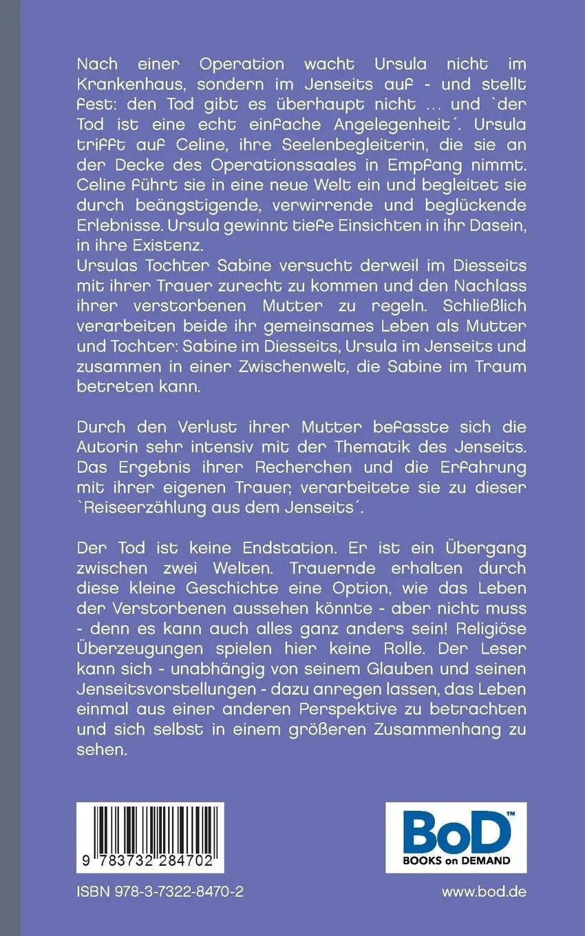 Rückseite: 9783732284702 | Ein Licht hinter der Tür | Eine Reiseerzählung aus dem Jenseits | Buch