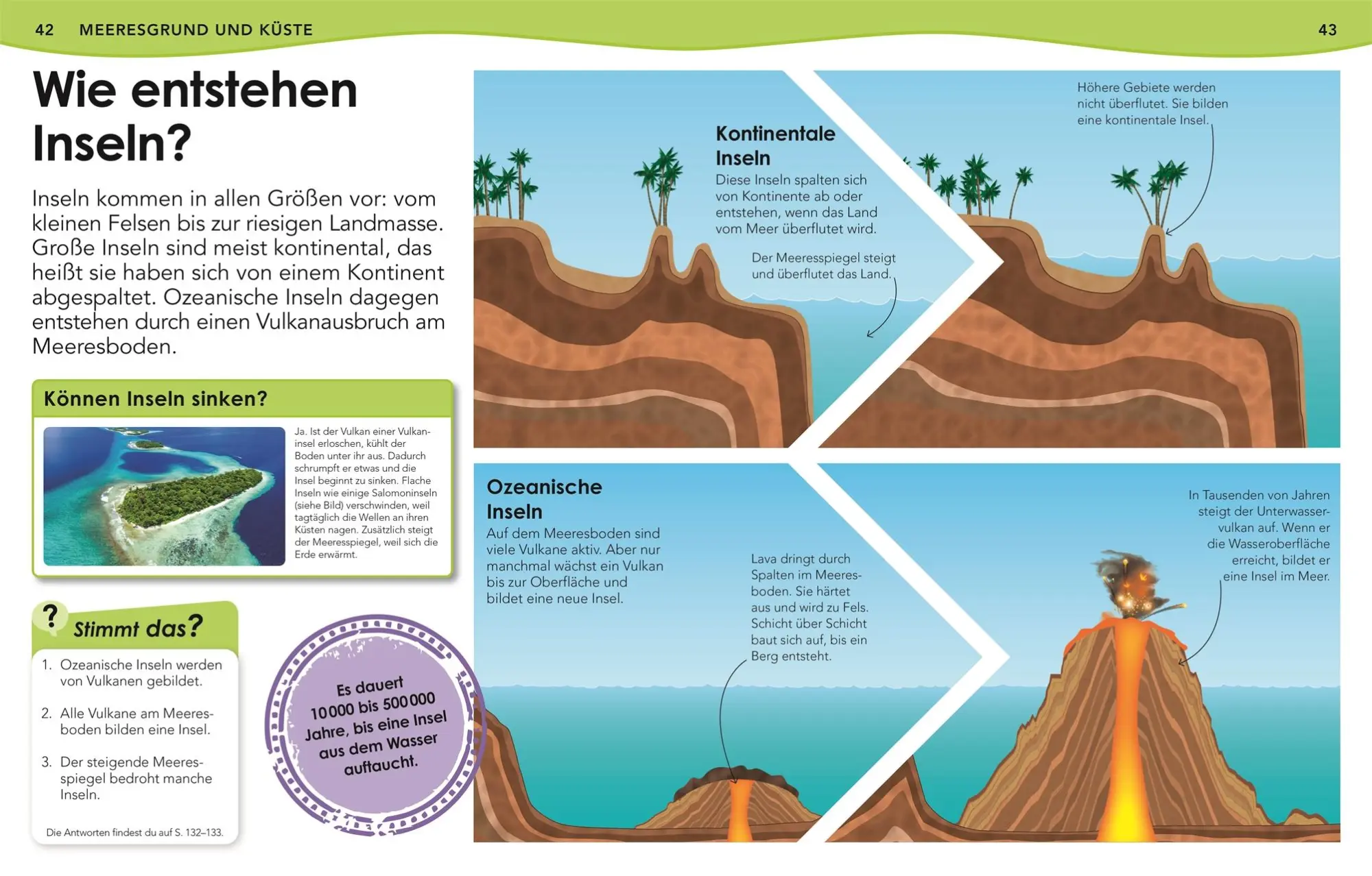 Bild: 9783831044702 | Weshalb? Deshalb! Meere | Das Frage-und-Antwort-Lexikon | Kids | Buch