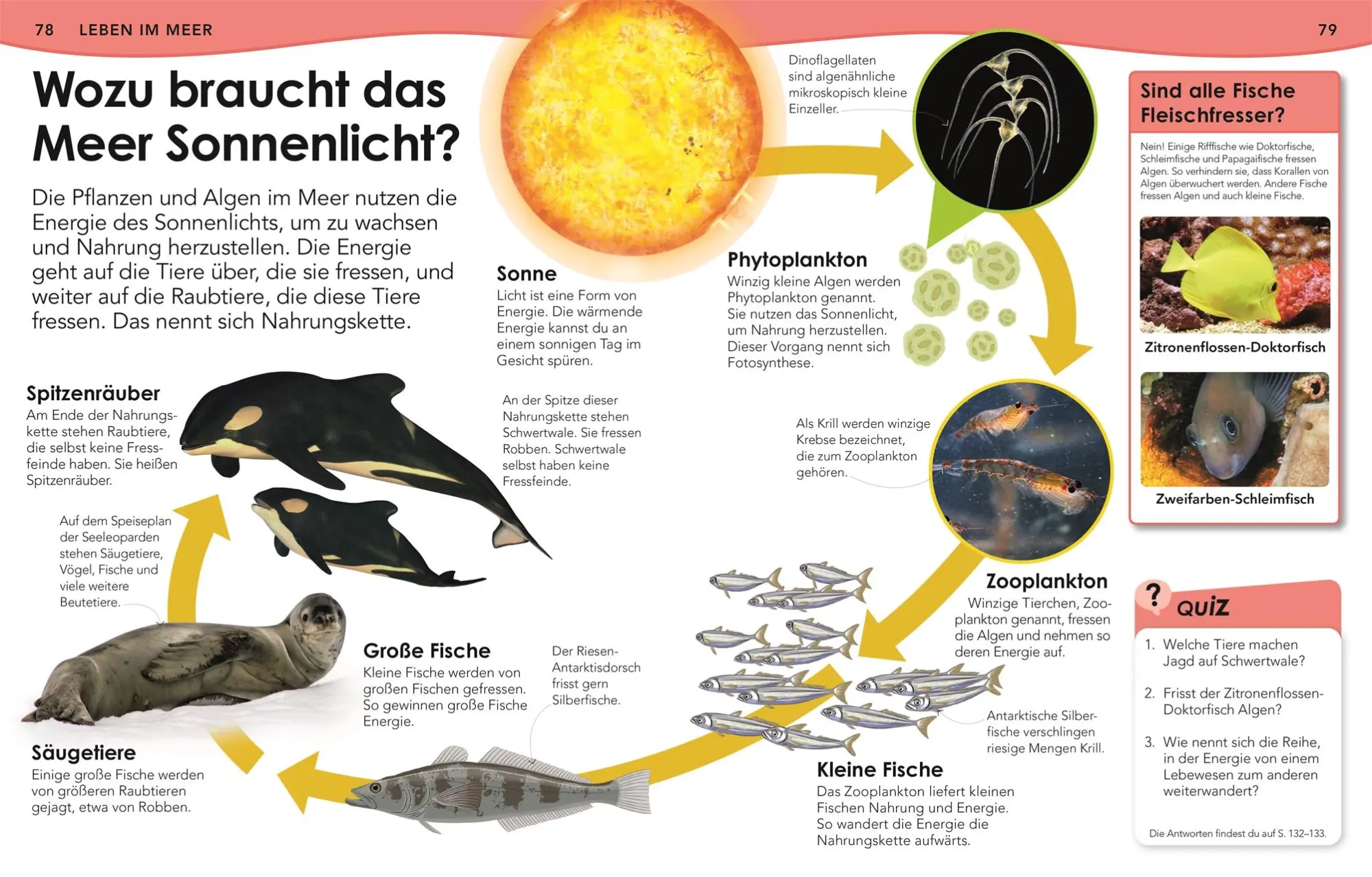 Bild: 9783831044702 | Weshalb? Deshalb! Meere | Das Frage-und-Antwort-Lexikon | Kids | Buch