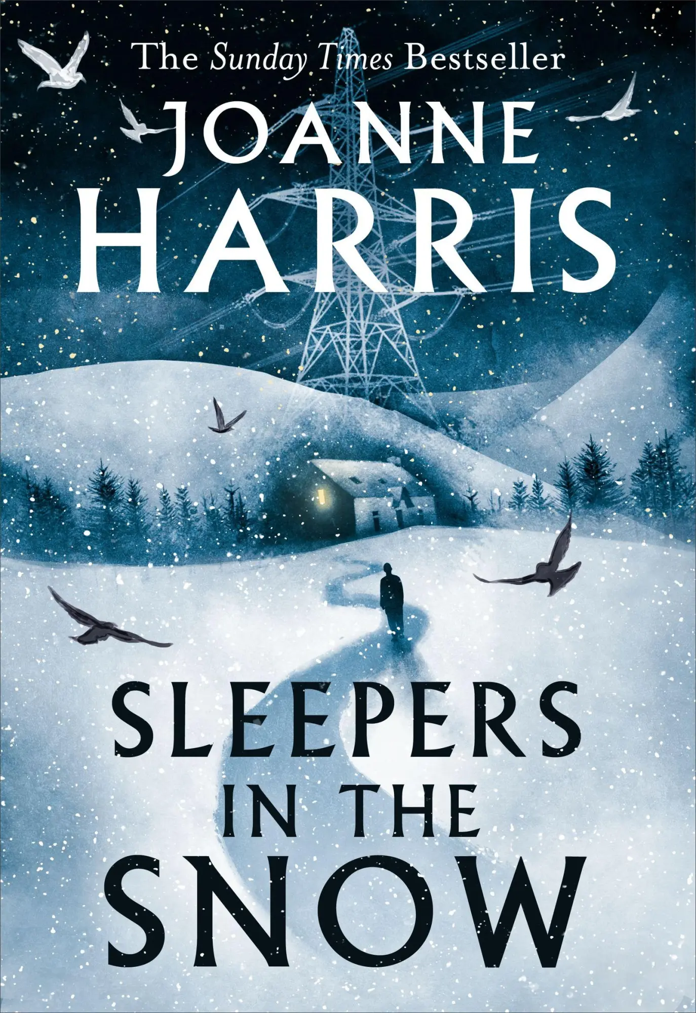 Cover: 9781399604802 | Sleepers in the Snow | Joanne Harris | Taschenbuch | 272 S. | Englisch