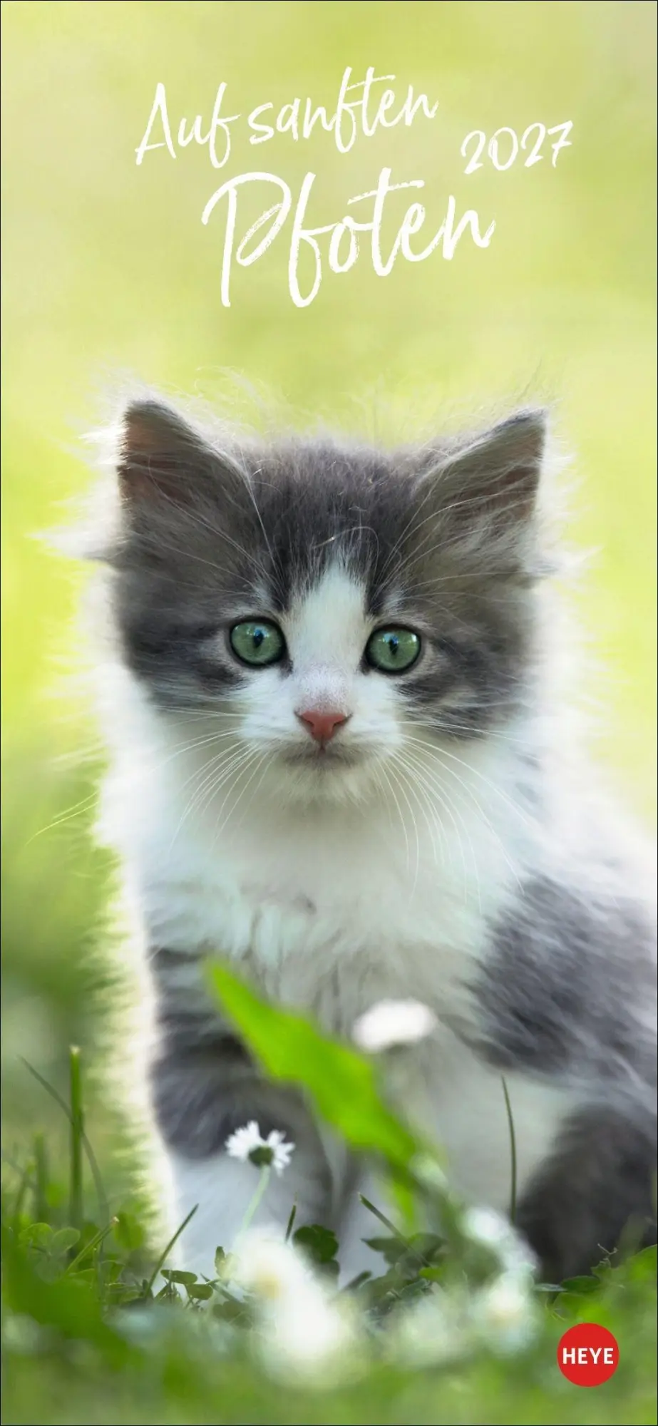 Cover: 9783756414802 | Katzen slim - Auf sanften Pfoten Kalender 2027 | Heye | Kalender