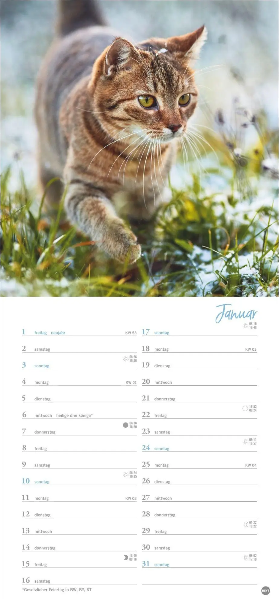 Bild: 9783756414802 | Katzen slim - Auf sanften Pfoten Kalender 2027 | Heye | Kalender