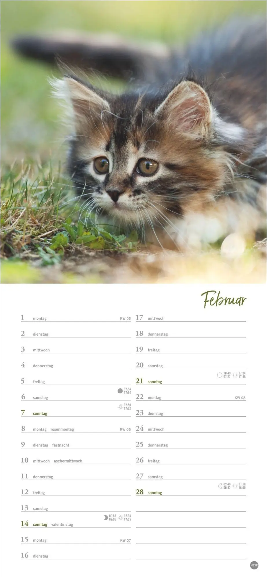 Bild: 9783756414802 | Katzen slim - Auf sanften Pfoten Kalender 2027 | Heye | Kalender