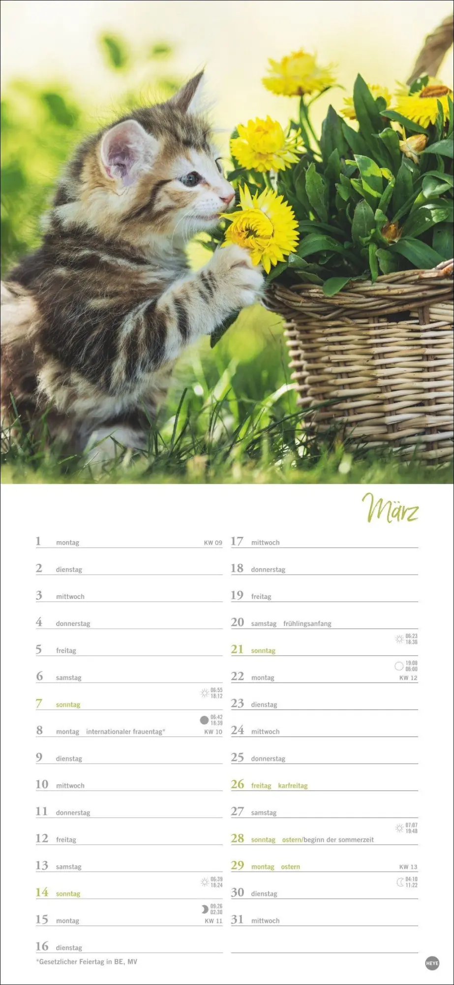 Bild: 9783756414802 | Katzen slim - Auf sanften Pfoten Kalender 2027 | Heye | Kalender