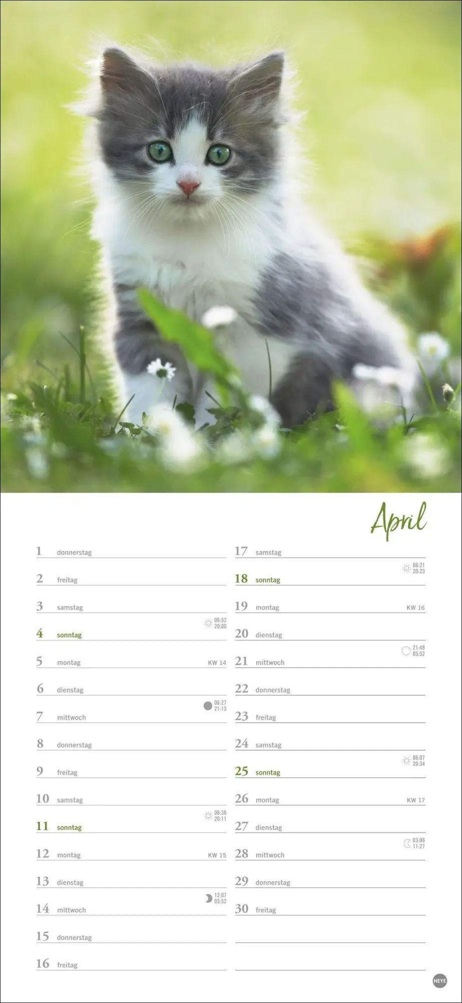 Bild: 9783756414802 | Katzen slim - Auf sanften Pfoten Kalender 2027 | Heye | Kalender