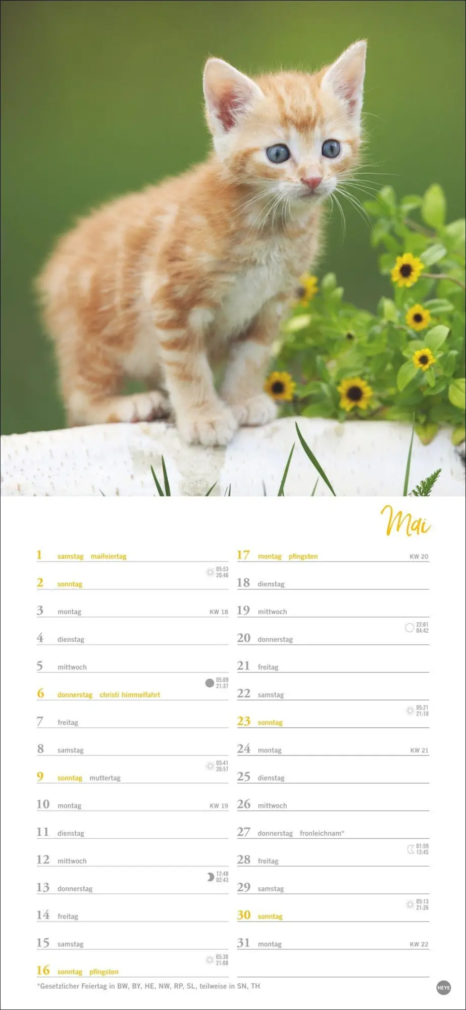Bild: 9783756414802 | Katzen slim - Auf sanften Pfoten Kalender 2027 | Heye | Kalender