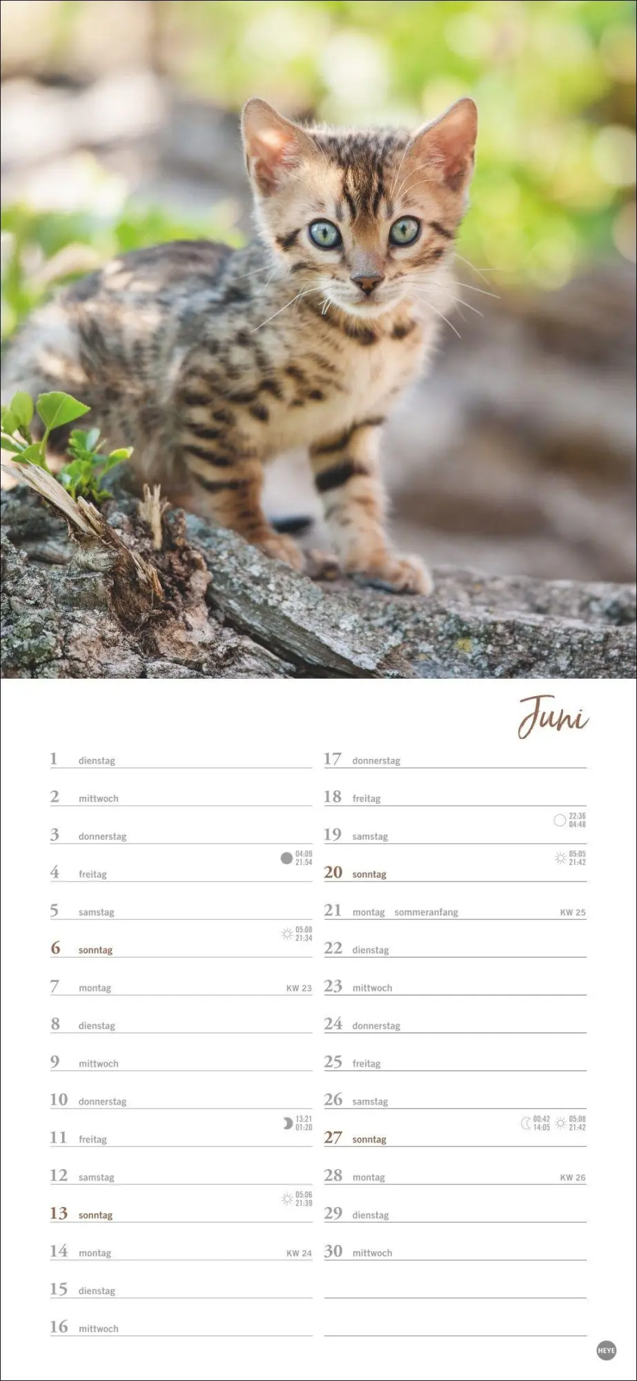 Bild: 9783756414802 | Katzen slim - Auf sanften Pfoten Kalender 2027 | Heye | Kalender